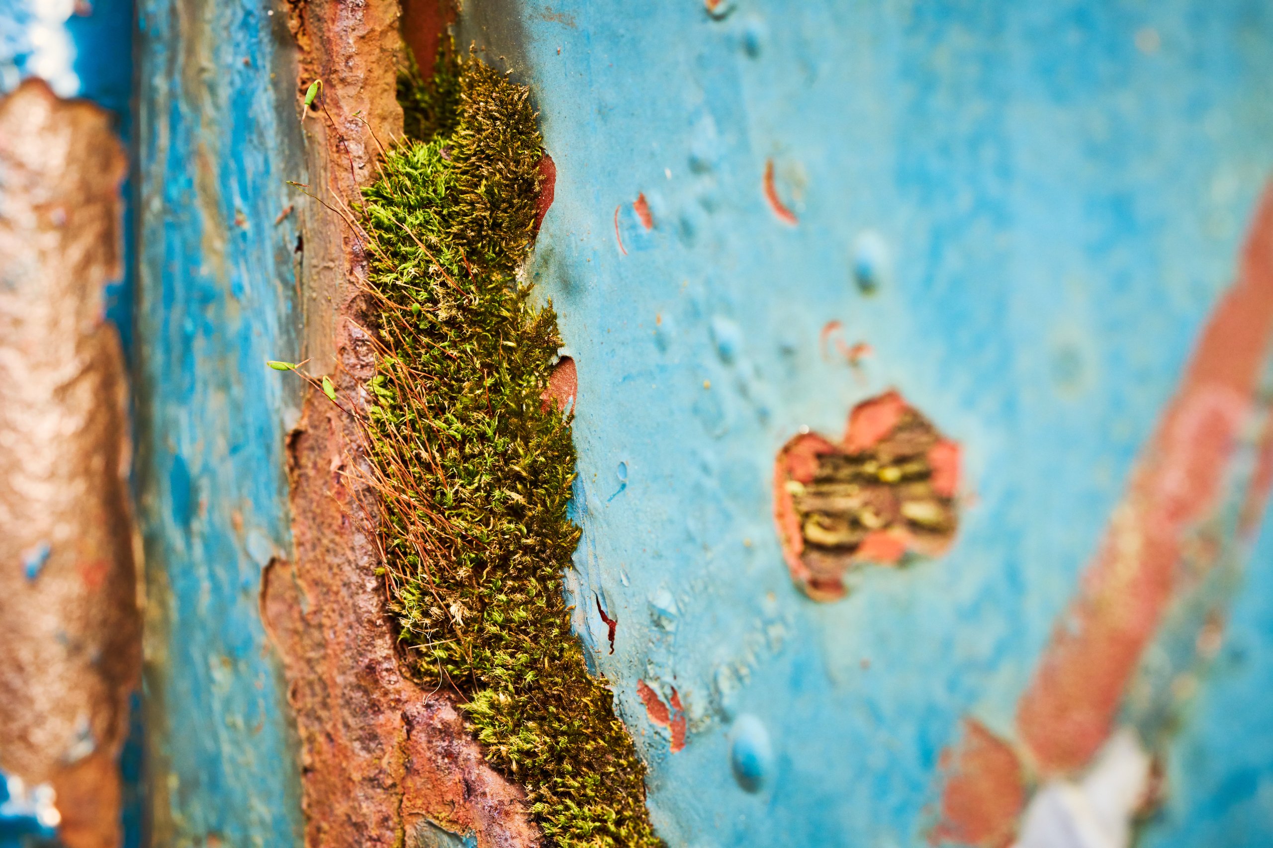 2026 03 07 Landschaftspark Nord 0341